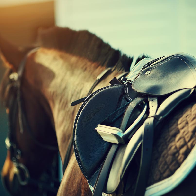 Horse_Riding