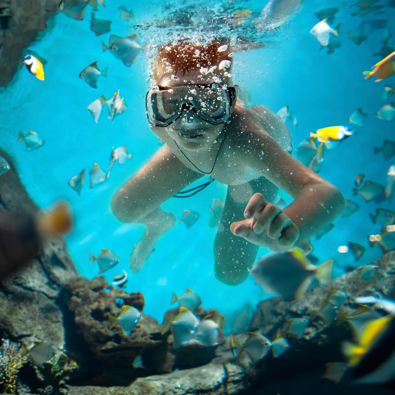 Snorkling